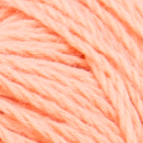 0025 - apricot