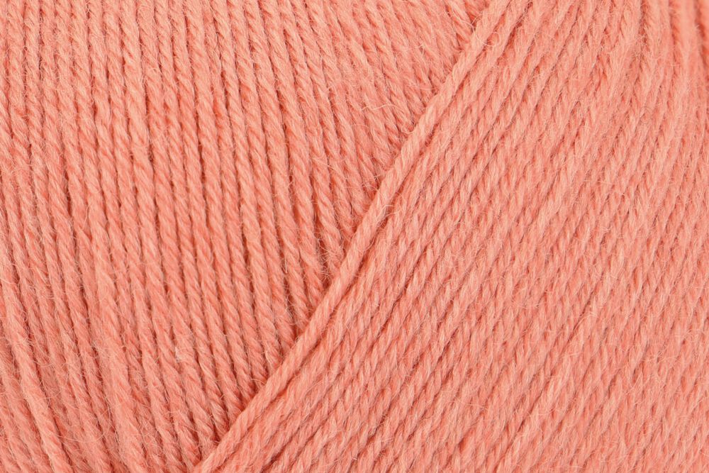 00032 apricot | 15,50 €