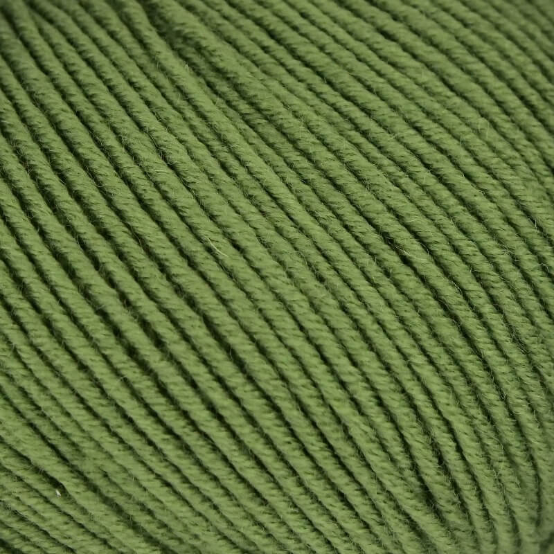 0243 - oliv  | 4,50 €