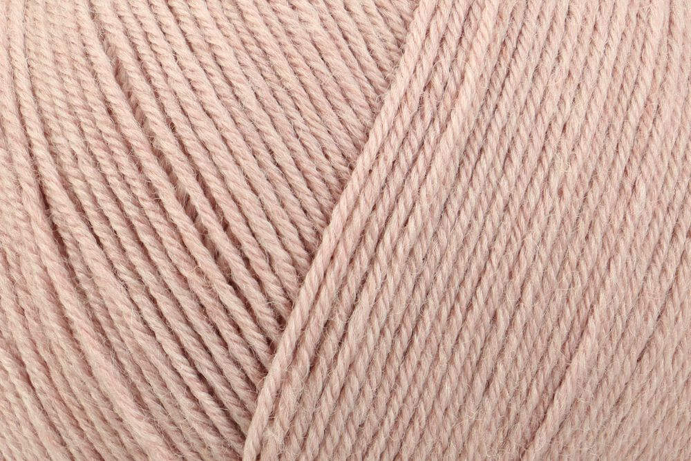 00031 rose | 15,50 €