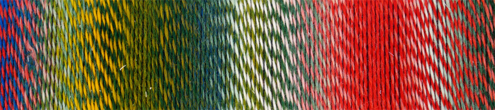 Zauberball® Crazy von Schoppel 1701 - Papagei