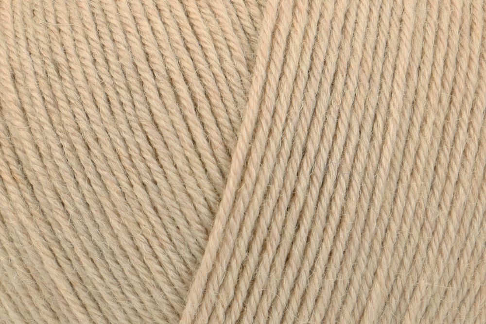 00020 kamel | 15,50 €