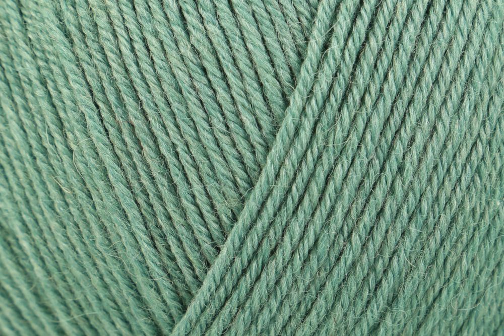 00018 salbei | 15,50 €