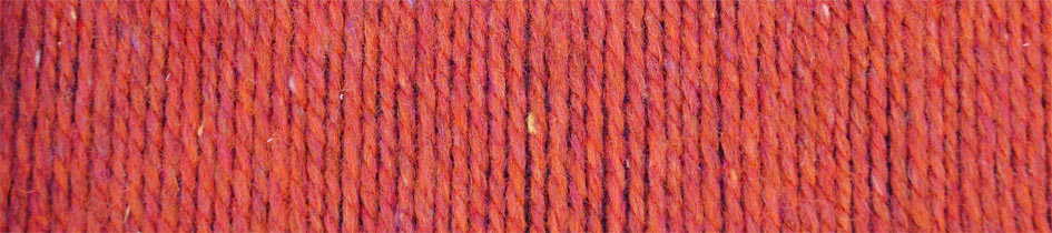 Relikt von Schoppel 1491 - Hagebutte