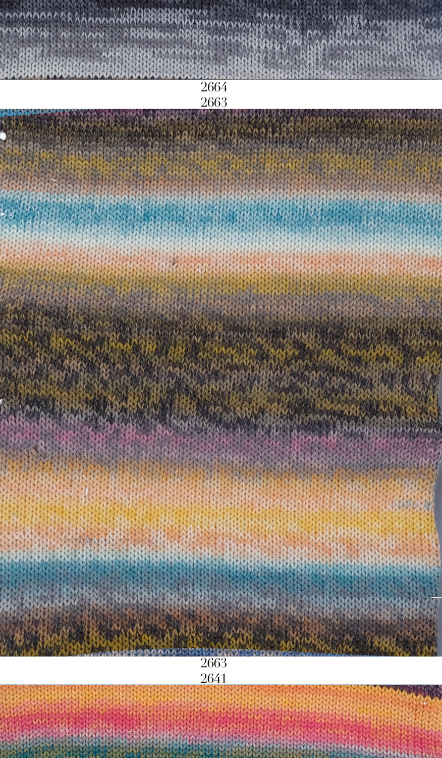 Woll-Schwestern von Schoppel 2663 - Charlotte | befreundete Farben: Annegret & Edda