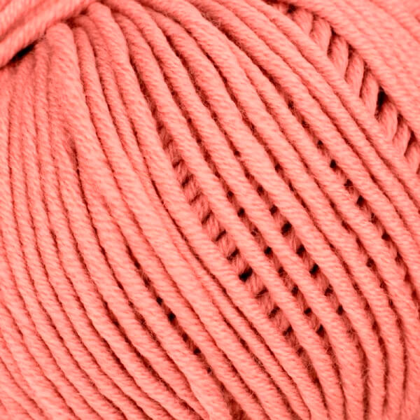 0067 - lachs | 5,95 €