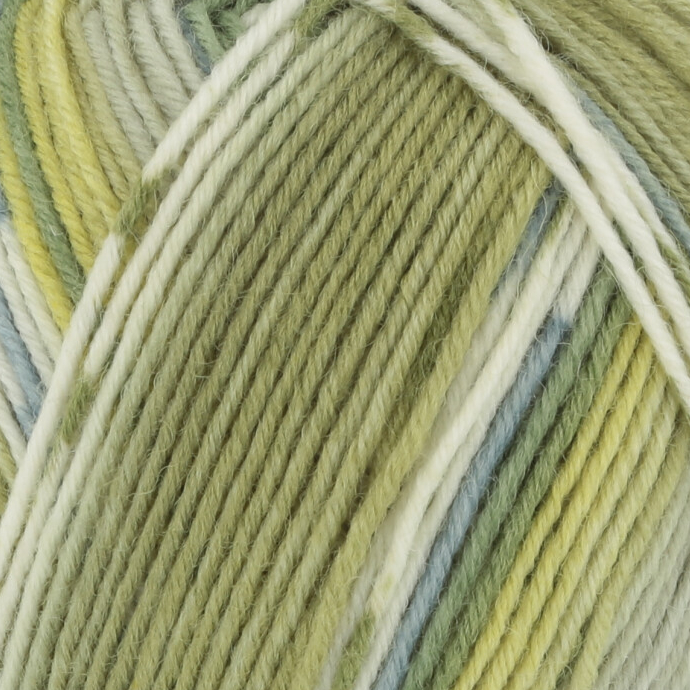 HotDrinks - 0378 - MatchaTea | 12,95 €