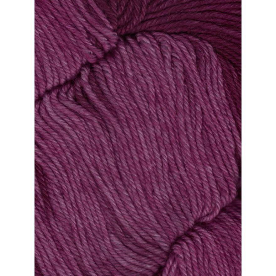 Huasco Sock Kettle Dyes von Araucania Yarns 1010 - Byzantium