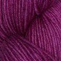 1026 - Purple Fuchsia